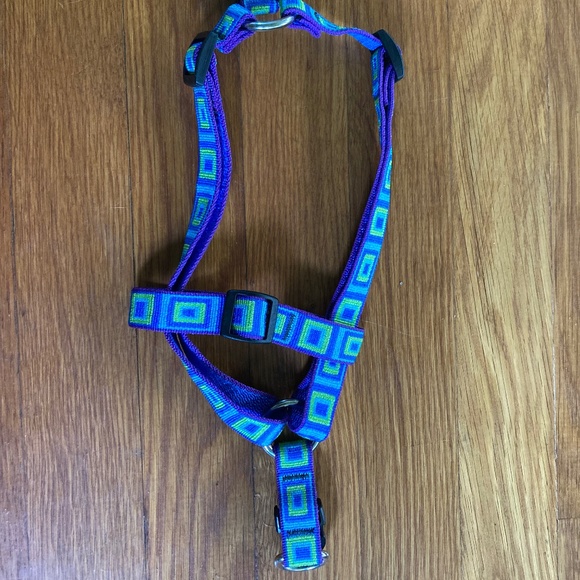 NEW LupinePet Originals 3/4" Sea Glass 12-20" Adjustable Roman Dog Harness - Picture 3 of 8